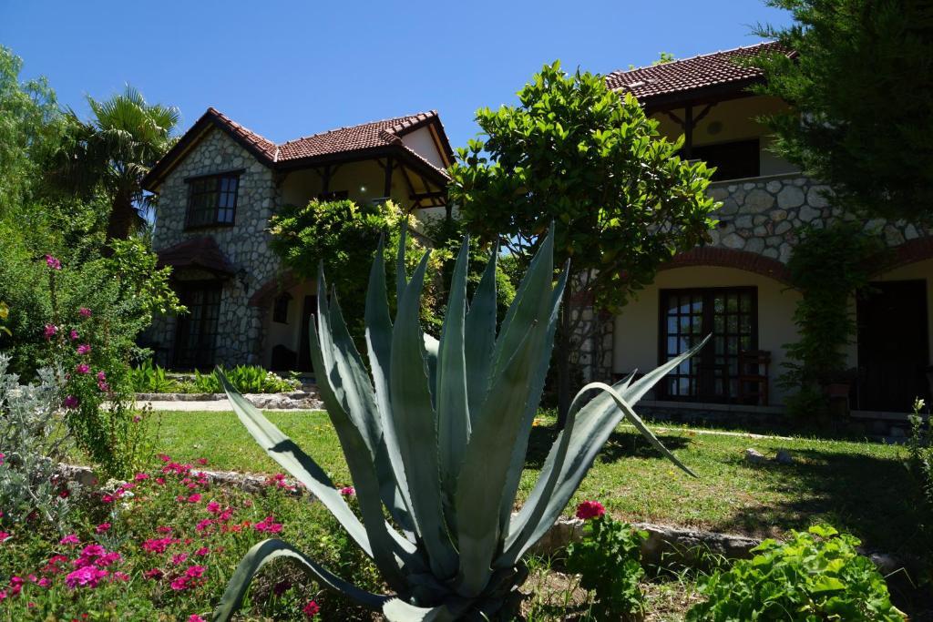 Mountain Lodge Hotel Doger Koyu Ngoại thất bức ảnh