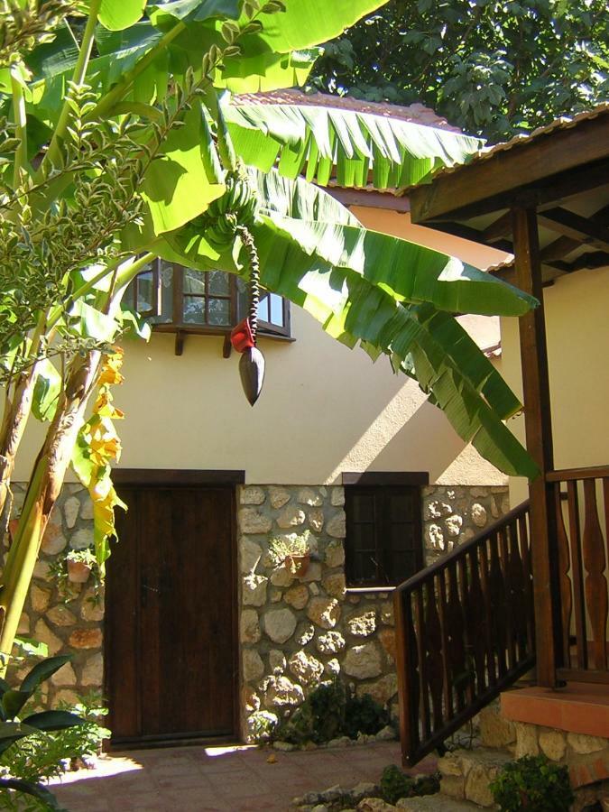 Mountain Lodge Hotel Doger Koyu Ngoại thất bức ảnh